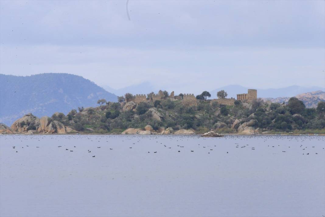 Kuş cenneti Bafa Gölü eski manzarasına kavuştu 2