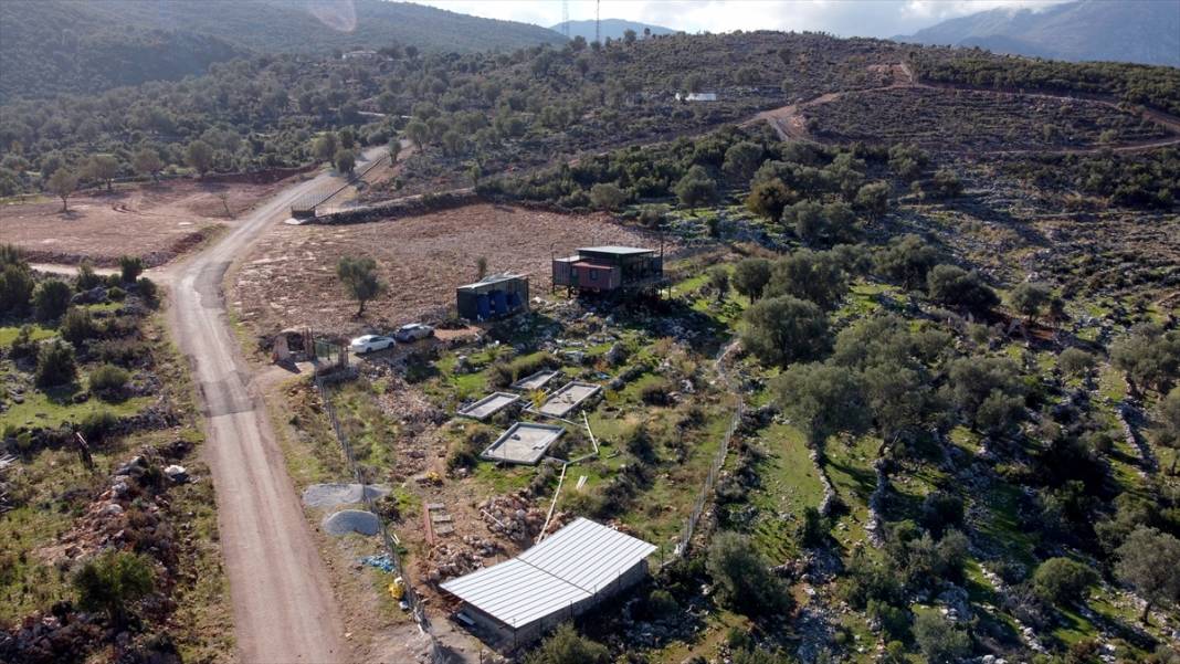 İstanbul'dan Muğla'ya taşındılar! Enerjiyi güneşten, suyu yağmurdan karşılıyorlar 7