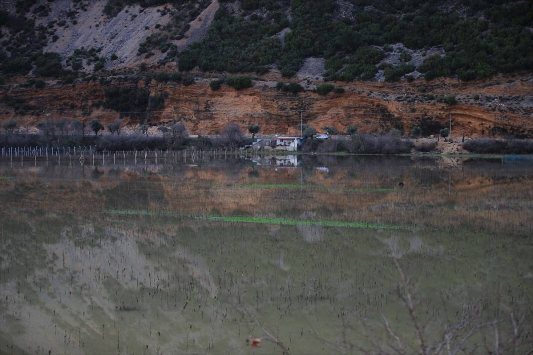 Muğla'da tarım alanlarını su bastı 4