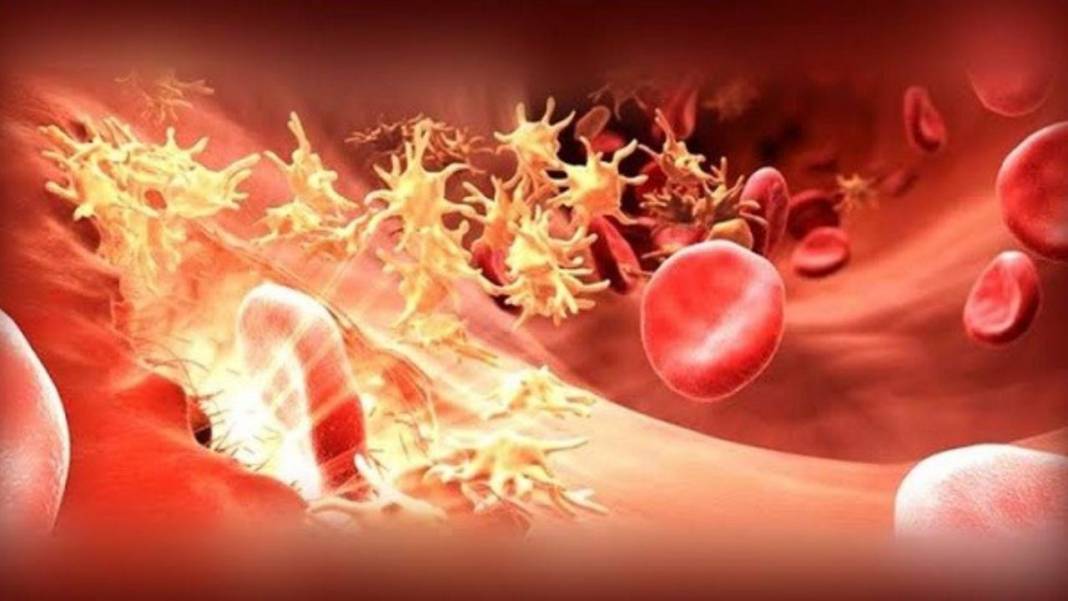 Milyonlarca erkek tehlikede! Bu hastalık erkekleri kıskacına alıyor 4
