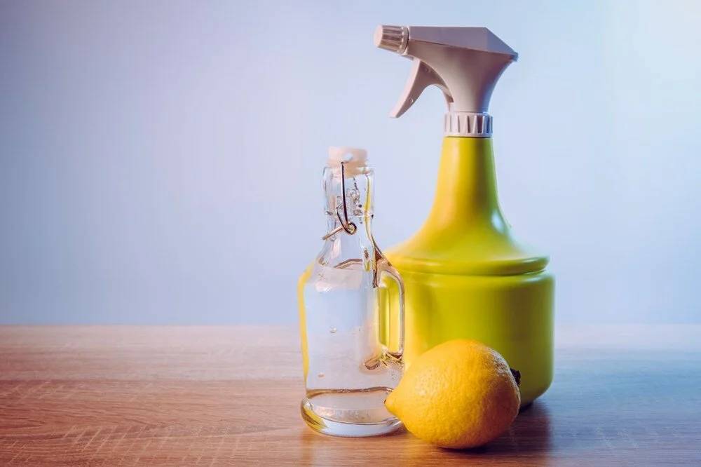 Limon sıkınca tehlikeli oluyorlar: Bunlardan limonu uzak tutun 3