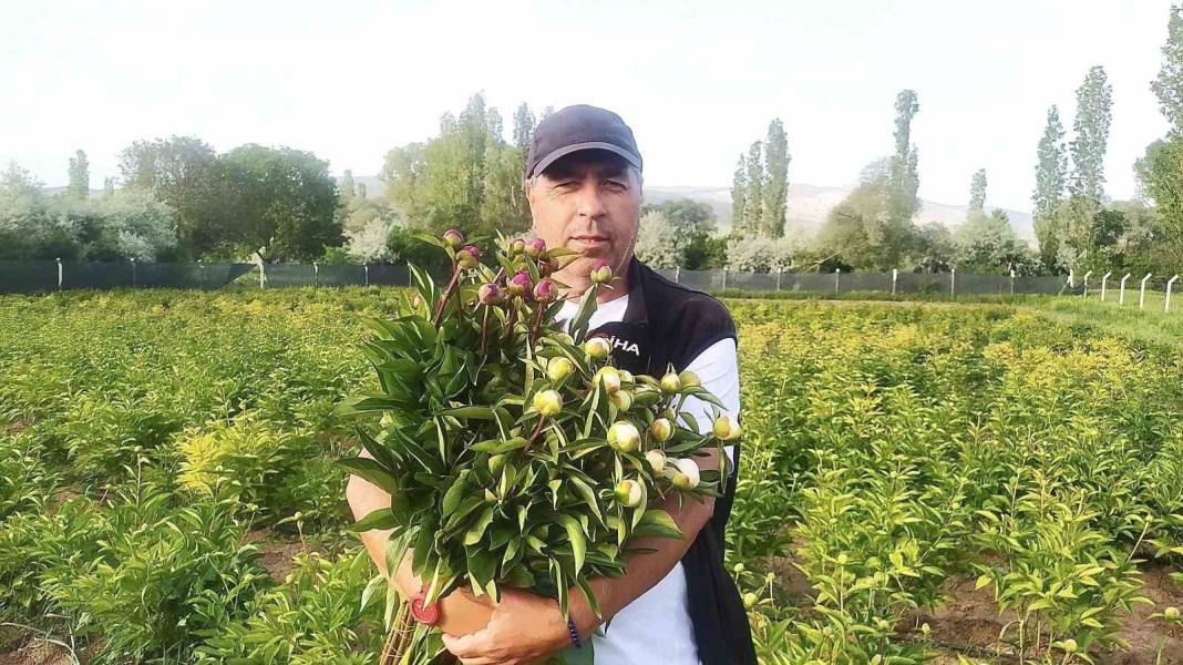 Tarlasına ekenler para basacak: Çiftçilere sipariş yağmaya başladı 1