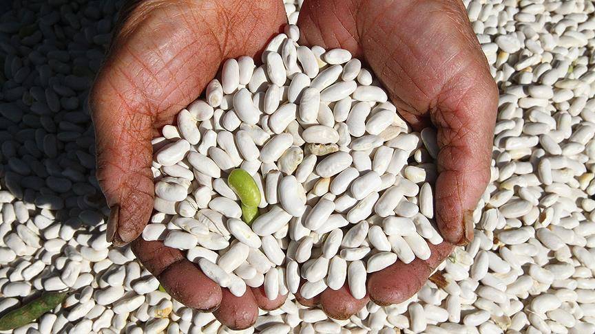 Markete giden şaşıracak: Fiyatı bir anda 150'den 40'a indi 2
