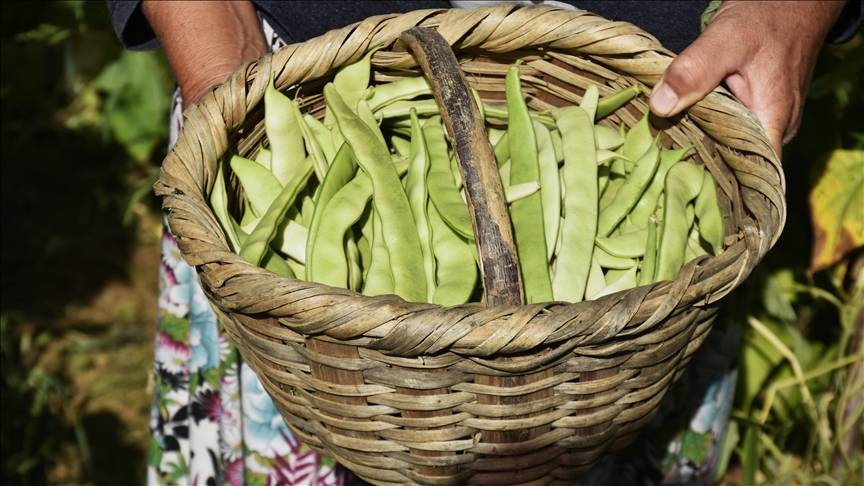 Markete giden şaşıracak: Fiyatı bir anda 150'den 40'a indi 1
