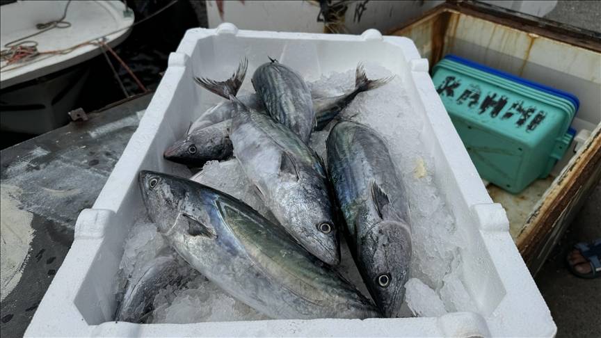 Marketlerde 150 lira oldu! Fiyatı görenler kilo kilo alıyor 2