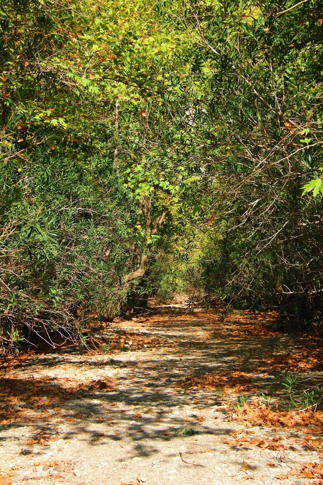 Muğla’nın Saklı Kalmış Cennetinden Bir Köşe: Uyku Vadisi 5