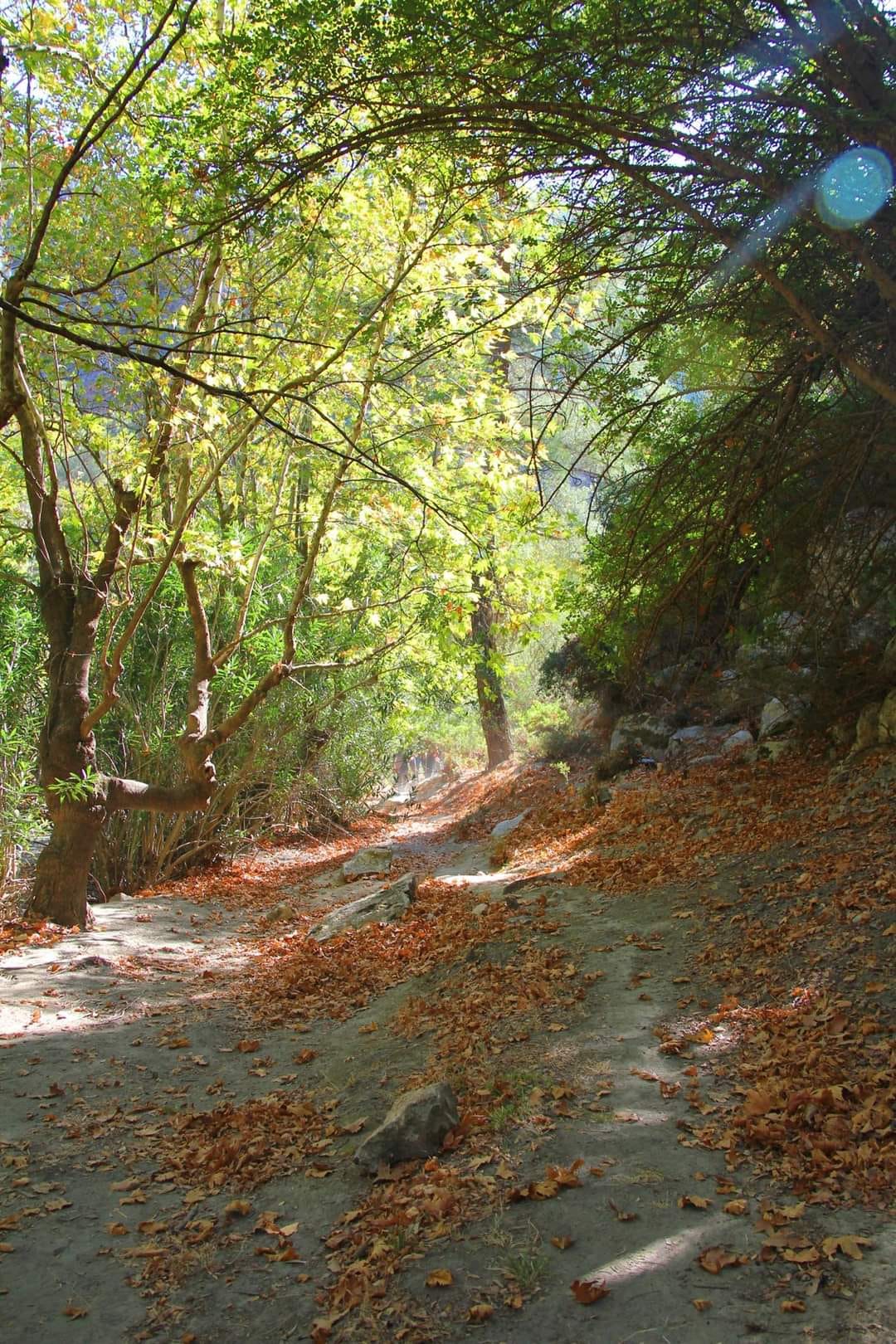 Muğla’nın Saklı Kalmış Cennetinden Bir Köşe: Uyku Vadisi 1