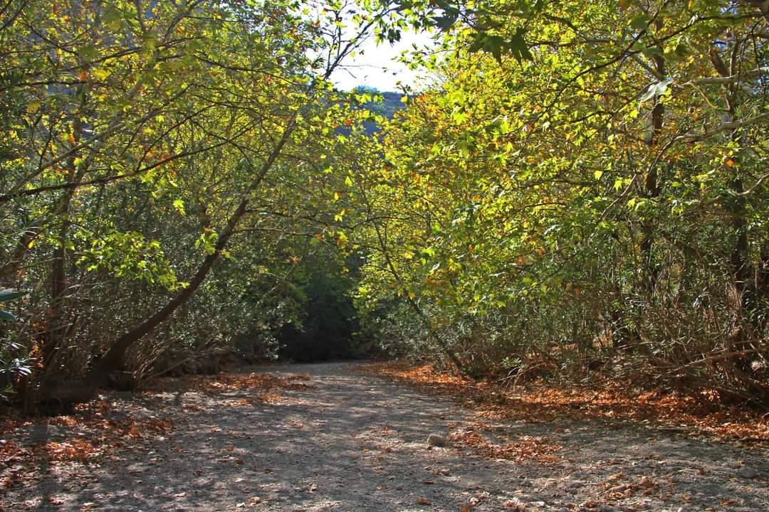 Muğla’nın Saklı Kalmış Cennetinden Bir Köşe: Uyku Vadisi 4