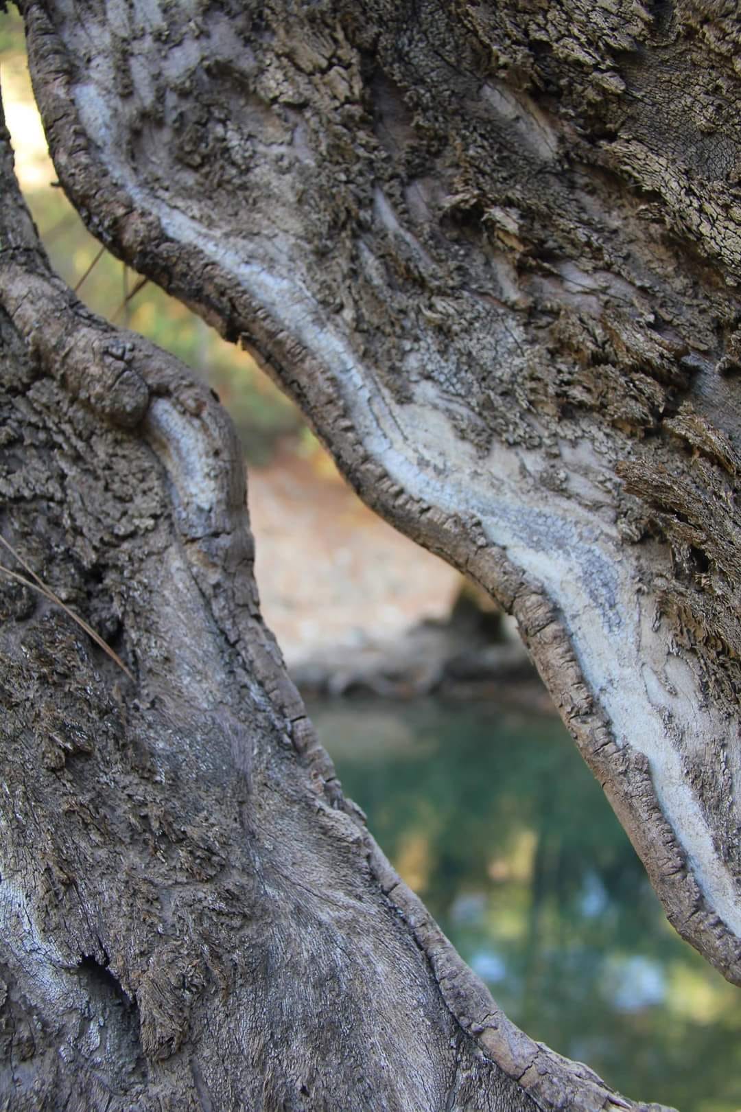 Muğla’nın Saklı Kalmış Cennetinden Bir Köşe: Uyku Vadisi 6