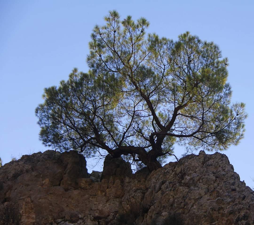 Muğla’nın Saklı Kalmış Cennetinden Bir Köşe: Uyku Vadisi 3