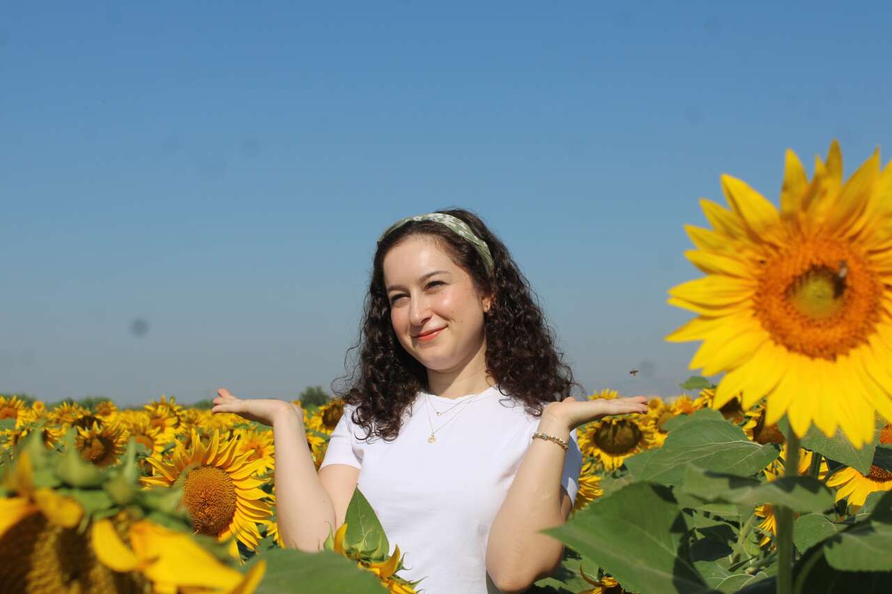 Muğla Kara Yolu Sarıya Büründü 6