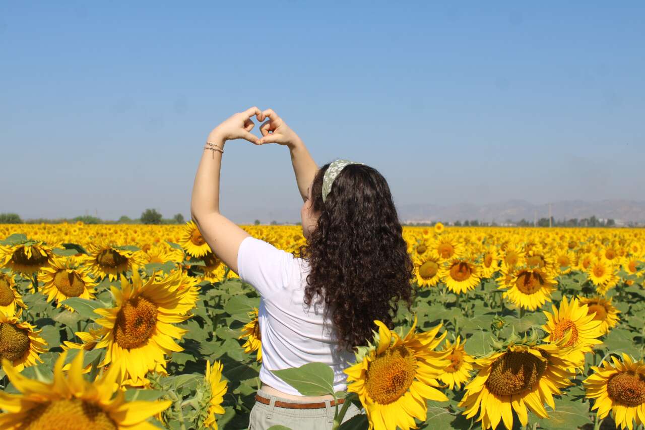 Muğla Kara Yolu Sarıya Büründü 5
