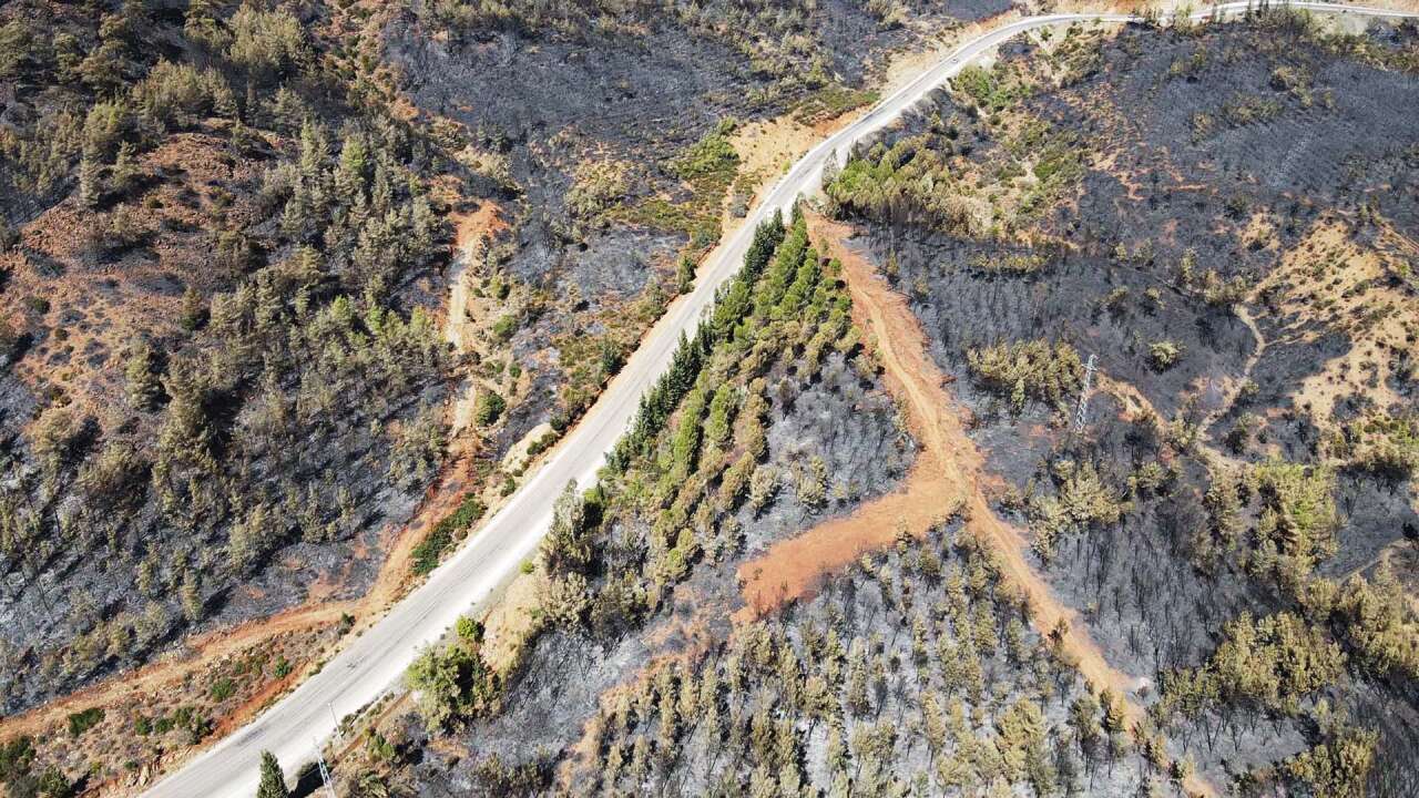 Köyceğiz’de Orman Yangınının Acı Bilançosu Havadan Görüntülendi 2
