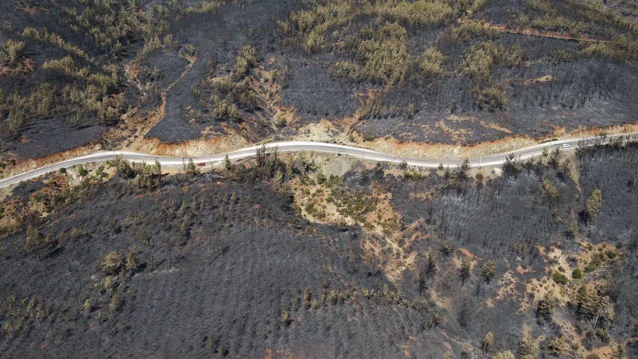 Köyceğiz’de Orman Yangınının Acı Bilançosu Havadan Görüntülendi 8