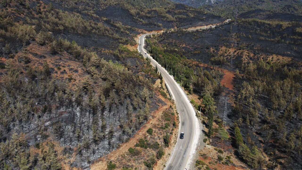 Köyceğiz’de Orman Yangınının Acı Bilançosu Havadan Görüntülendi 7