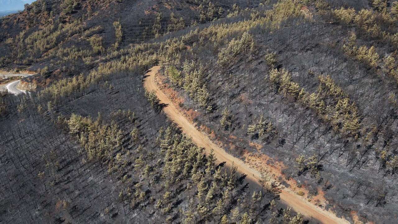 Köyceğiz’de Orman Yangınının Acı Bilançosu Havadan Görüntülendi 6
