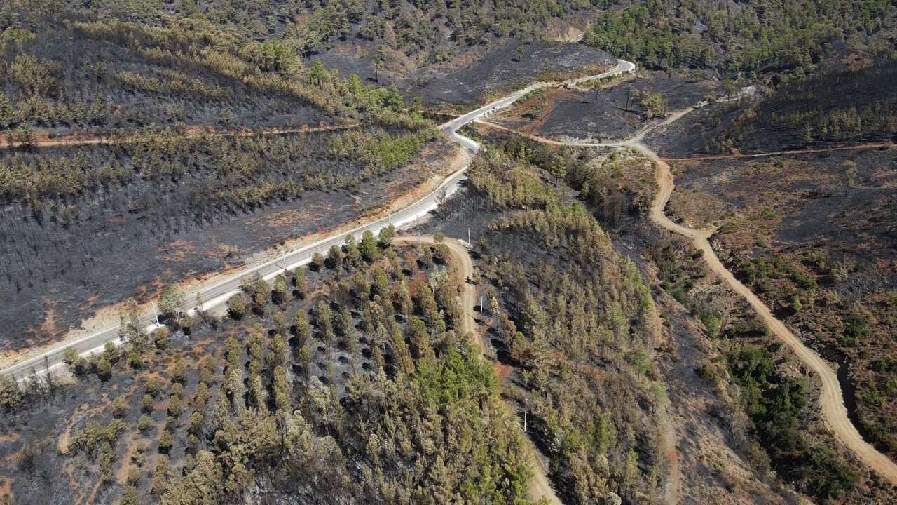 Köyceğiz’de Orman Yangınının Acı Bilançosu Havadan Görüntülendi 1