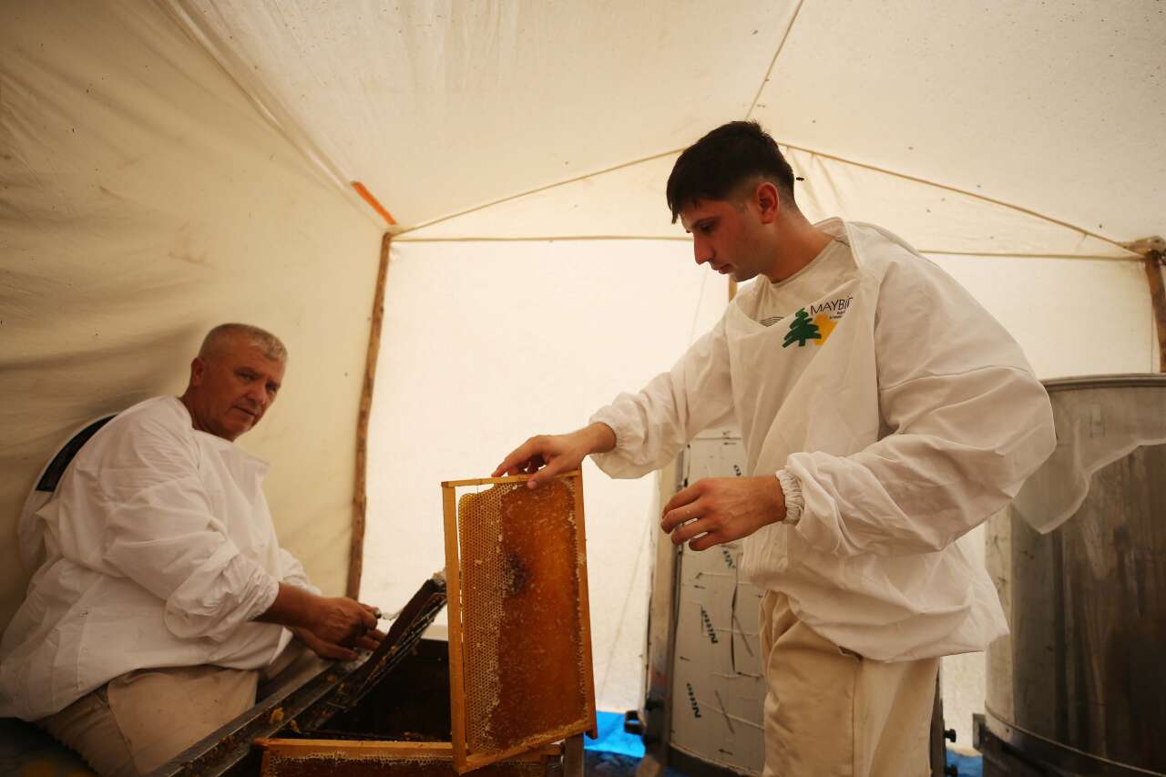 Bodrum’dan Dünyaya Doğal Şifa:  Yılmaz Ailesi 4 Kuşaktır Sürdürüyor 2