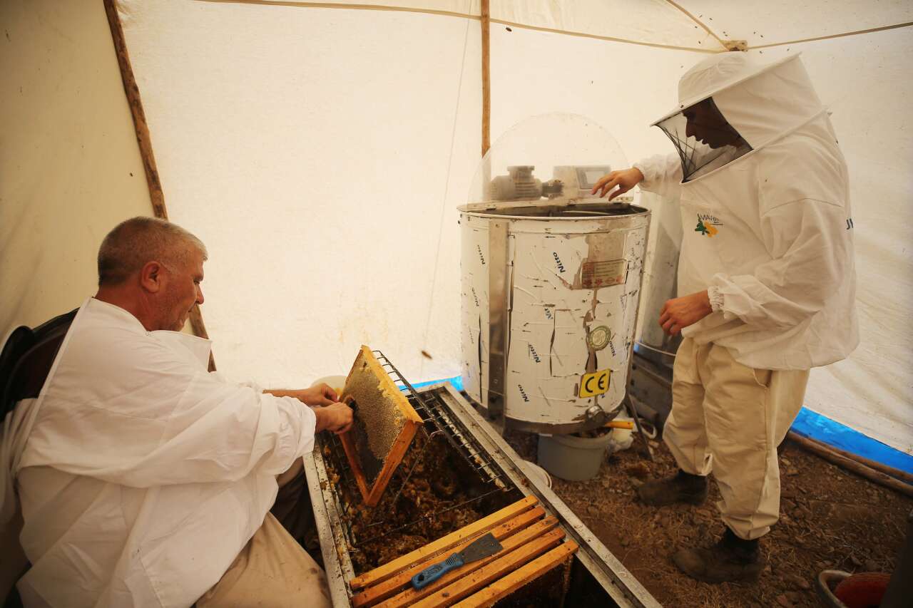 Bodrum’dan Dünyaya Doğal Şifa:  Yılmaz Ailesi 4 Kuşaktır Sürdürüyor 6