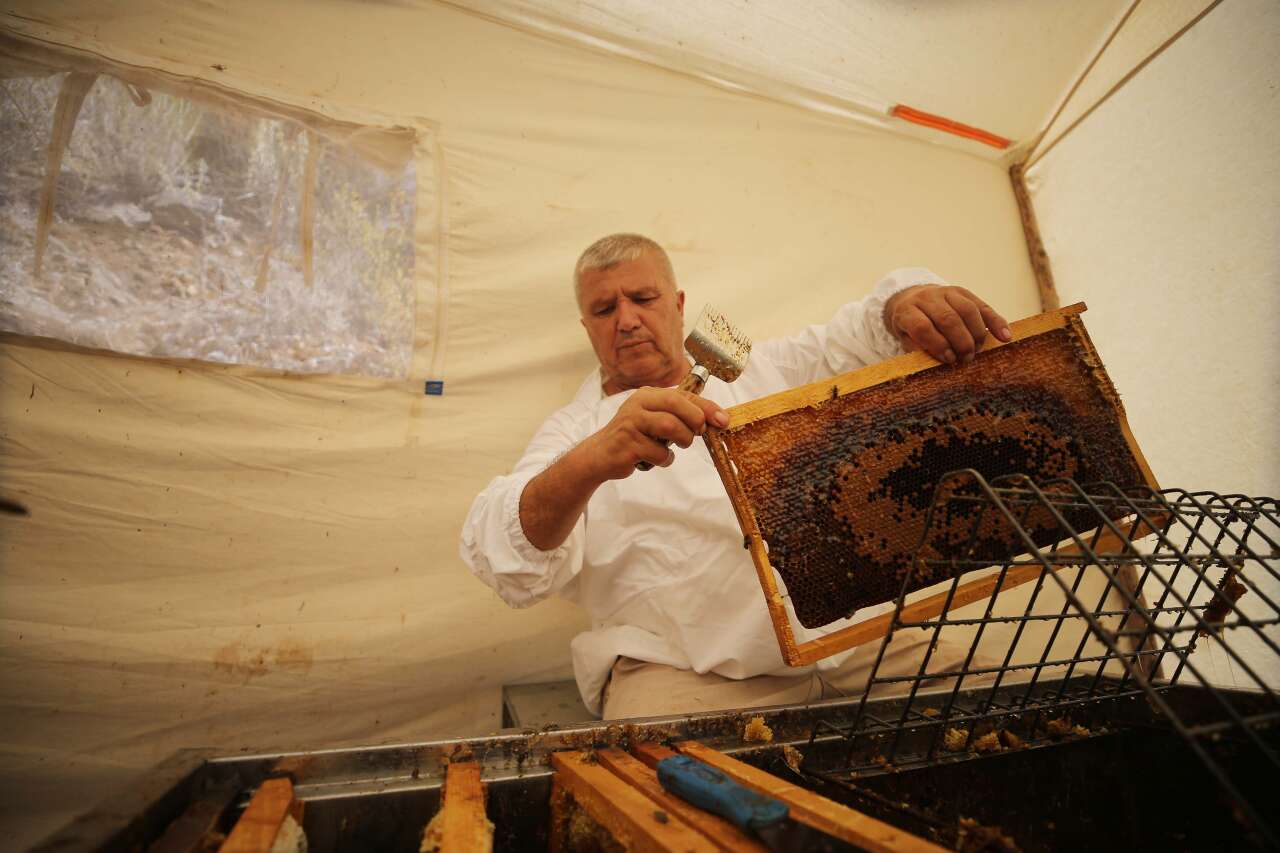 Bodrum’dan Dünyaya Doğal Şifa:  Yılmaz Ailesi 4 Kuşaktır Sürdürüyor 4