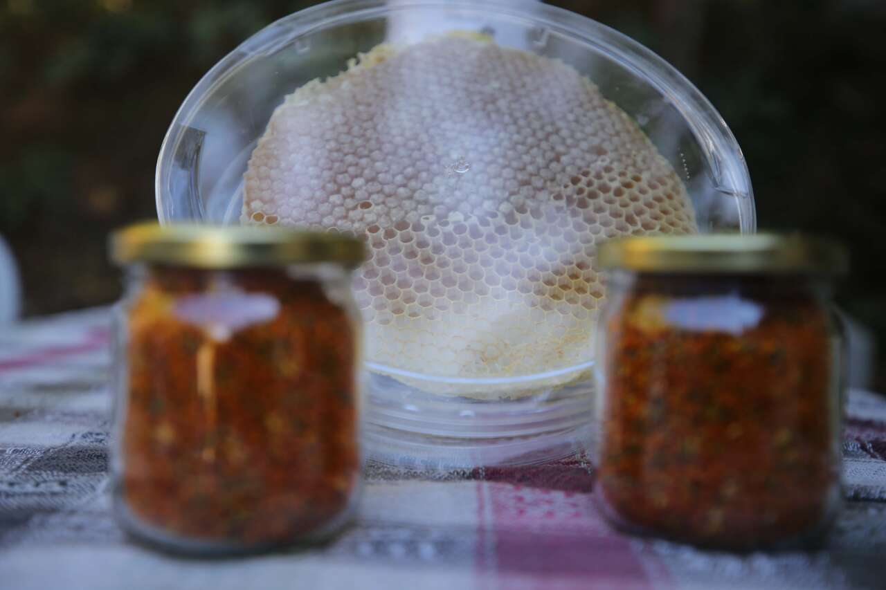 Bodrum’dan Dünyaya Doğal Şifa:  Yılmaz Ailesi 4 Kuşaktır Sürdürüyor 8