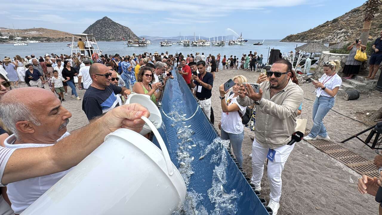 Uluslararası Bodrum Balık Festivali Renkli Görüntülerle Tamamlandı 3