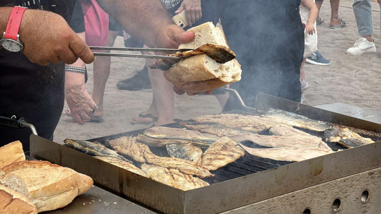 Uluslararası Bodrum Balık Festivali Renkli Görüntülerle Tamamlandı 4