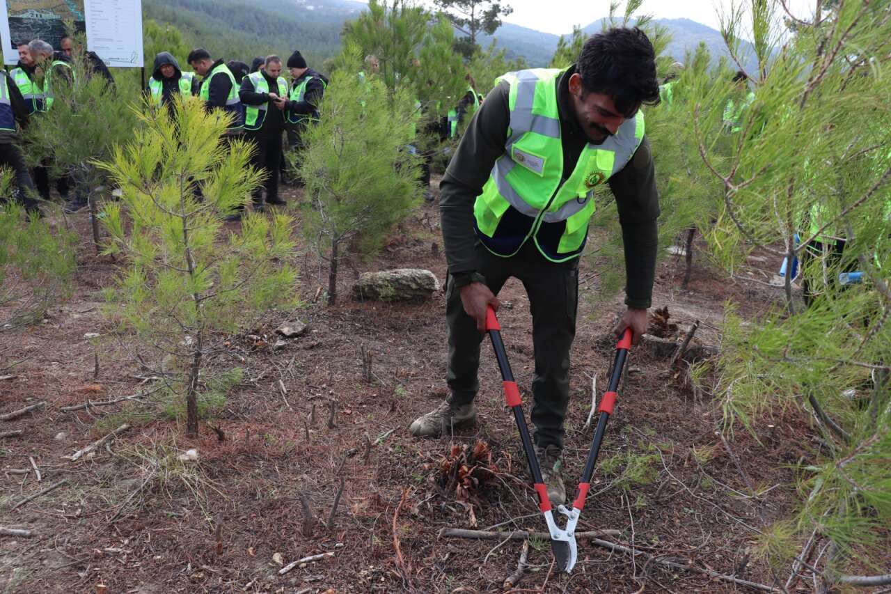 Muğla OBM’de Silvikültür Tatbikatları Tamamlandı 9