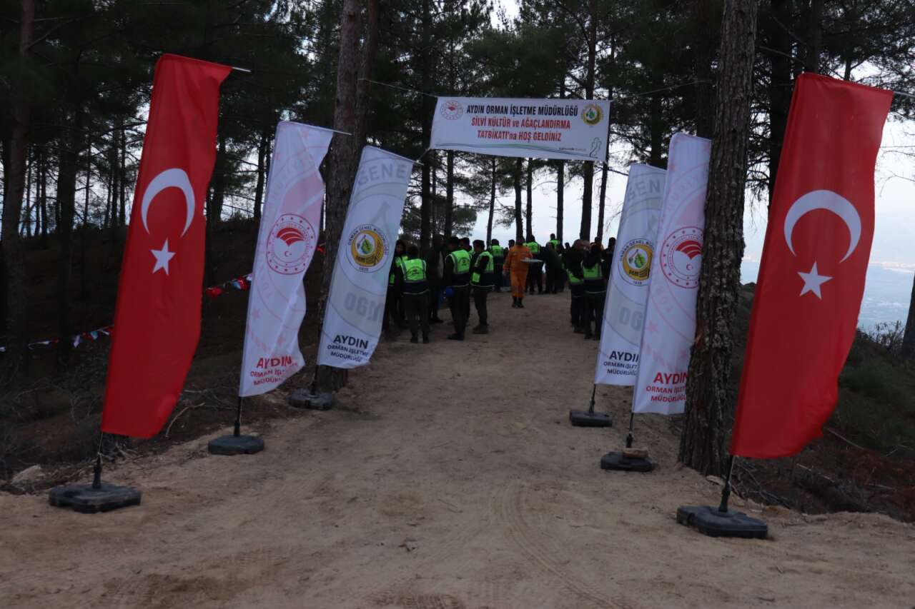 Muğla OBM’de Silvikültür Tatbikatları Tamamlandı 12