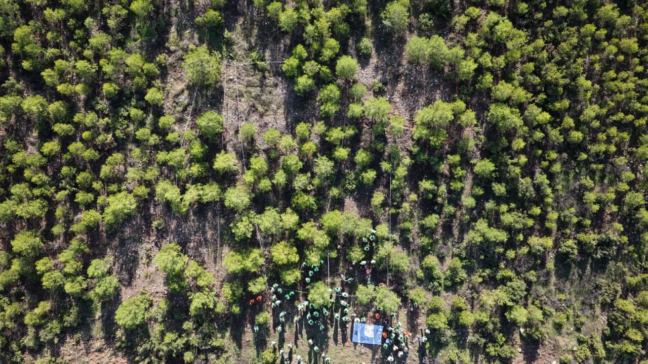 Muğla OBM’de Silvikültür Tatbikatları Tamamlandı 7