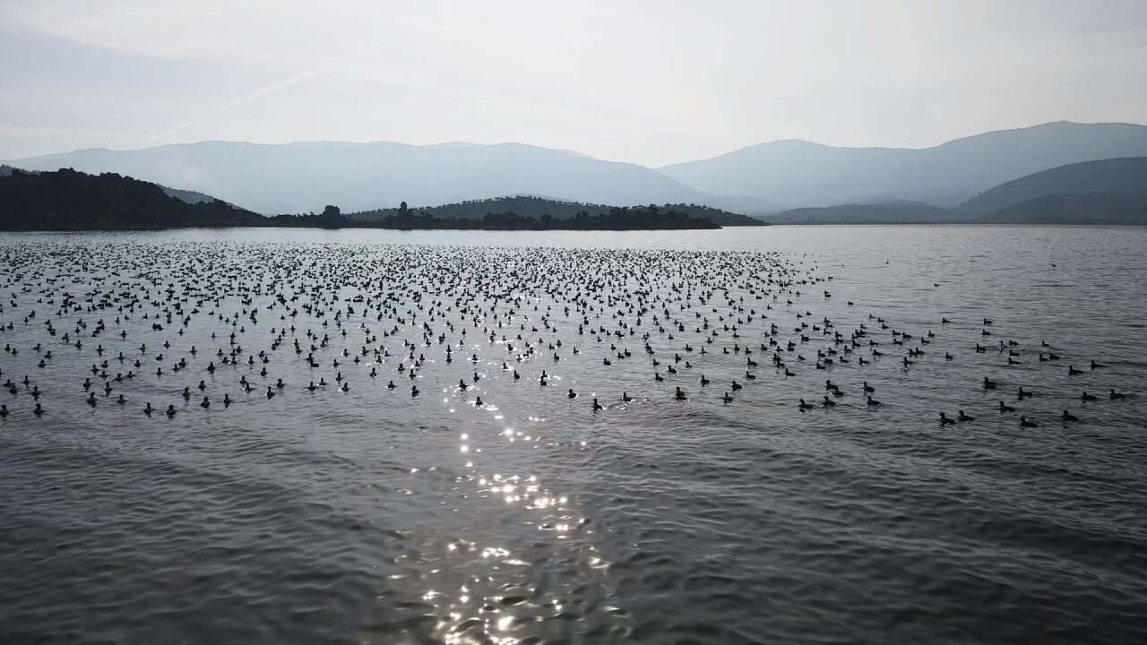 Yağışlarla Canlanan Bafa Gölü’nde Doğal Yaşam Yeniden Hareketlendi 6