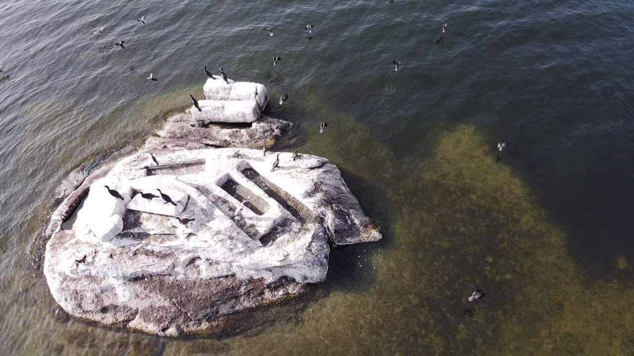 Yağışlarla Canlanan Bafa Gölü’nde Doğal Yaşam Yeniden Hareketlendi 3