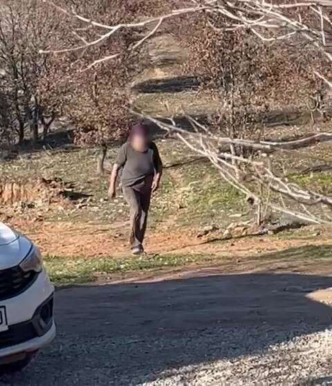 Hayvan Sevgisini İstismar Etti, Köpekler Açıktan Birbirini Yedi 7