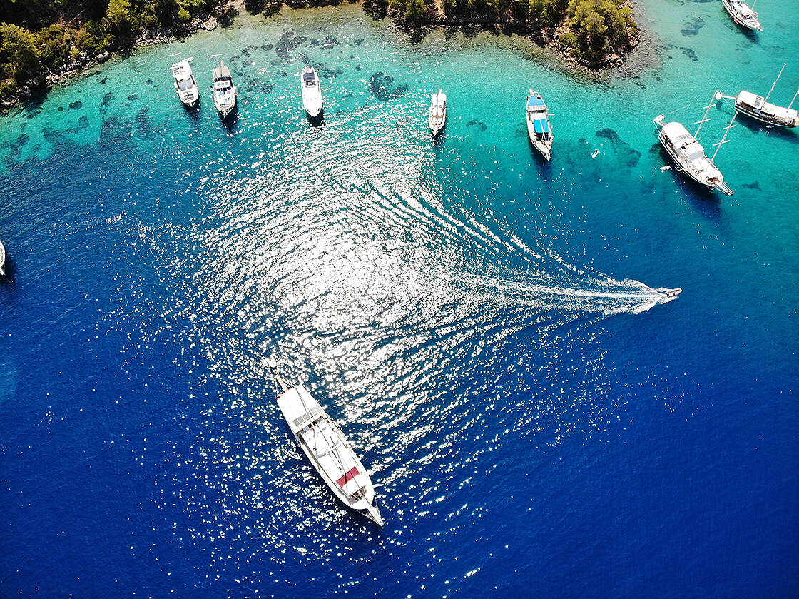 Türkiye’nin En Zeki İlleri Açıklandı: Muğla 4. Sırada Yer Aldı 3