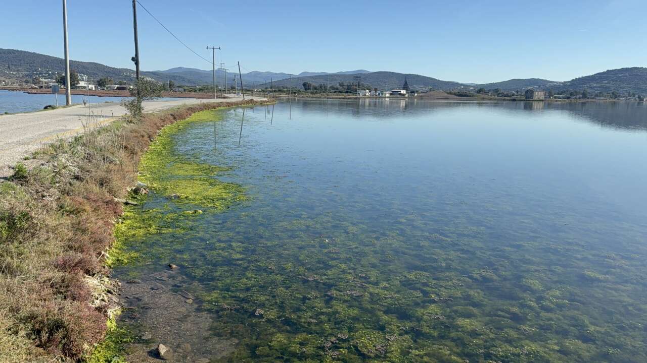 Binlerce Flamingo Tuzla Sulak Alanı’nda Görsel Şölen Oluşturdu 6