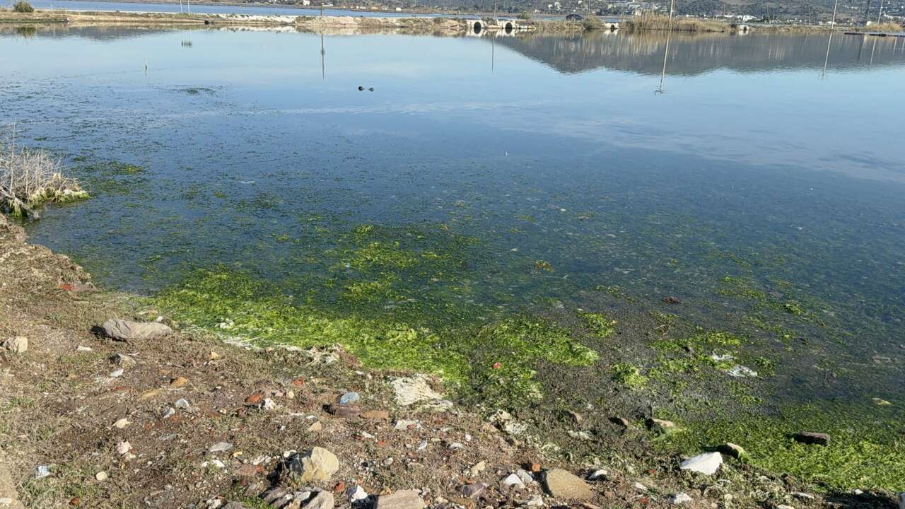 Binlerce Flamingo Tuzla Sulak Alanı’nda Görsel Şölen Oluşturdu 3