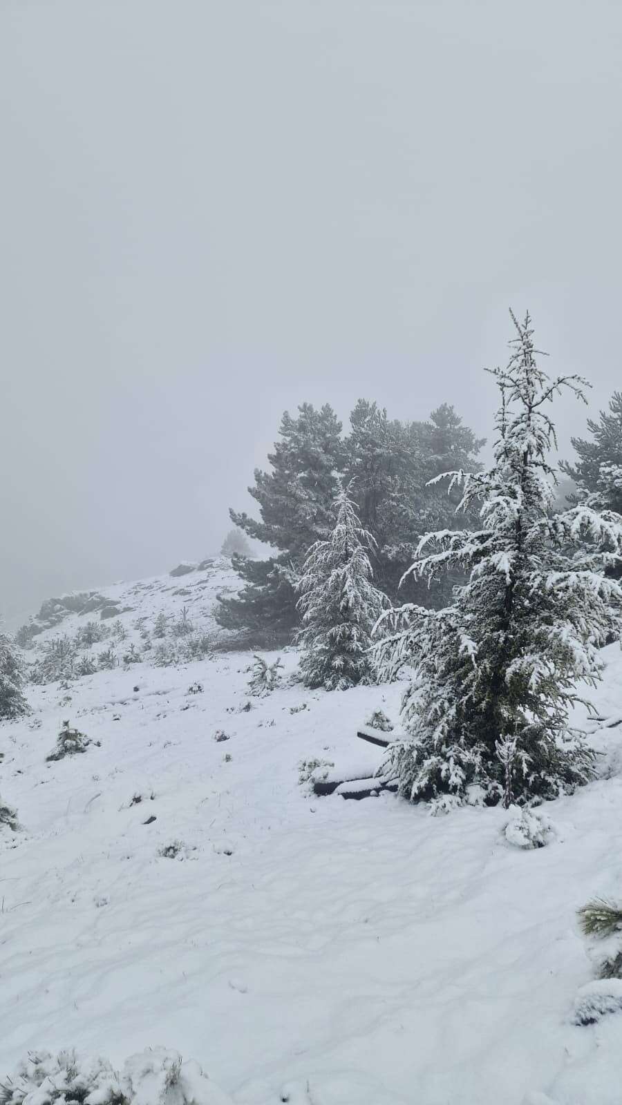 Muğla’da Göktepe Beyaza Büründü, Kartpostallık Görüntüler Ortaya Çıktı 2