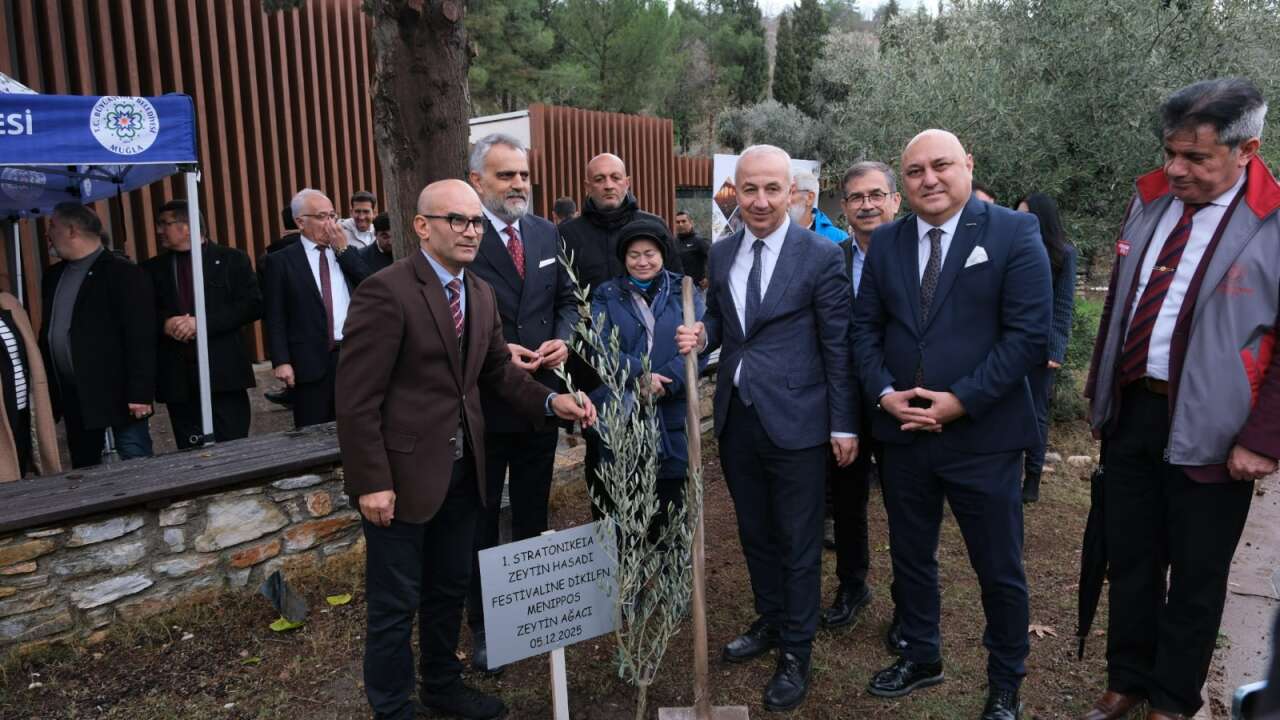 Tarihin Kalbinde Zeytin Hasadı: Stratonikeia’da Unutulmaz Bir Gün Yaşandı 12