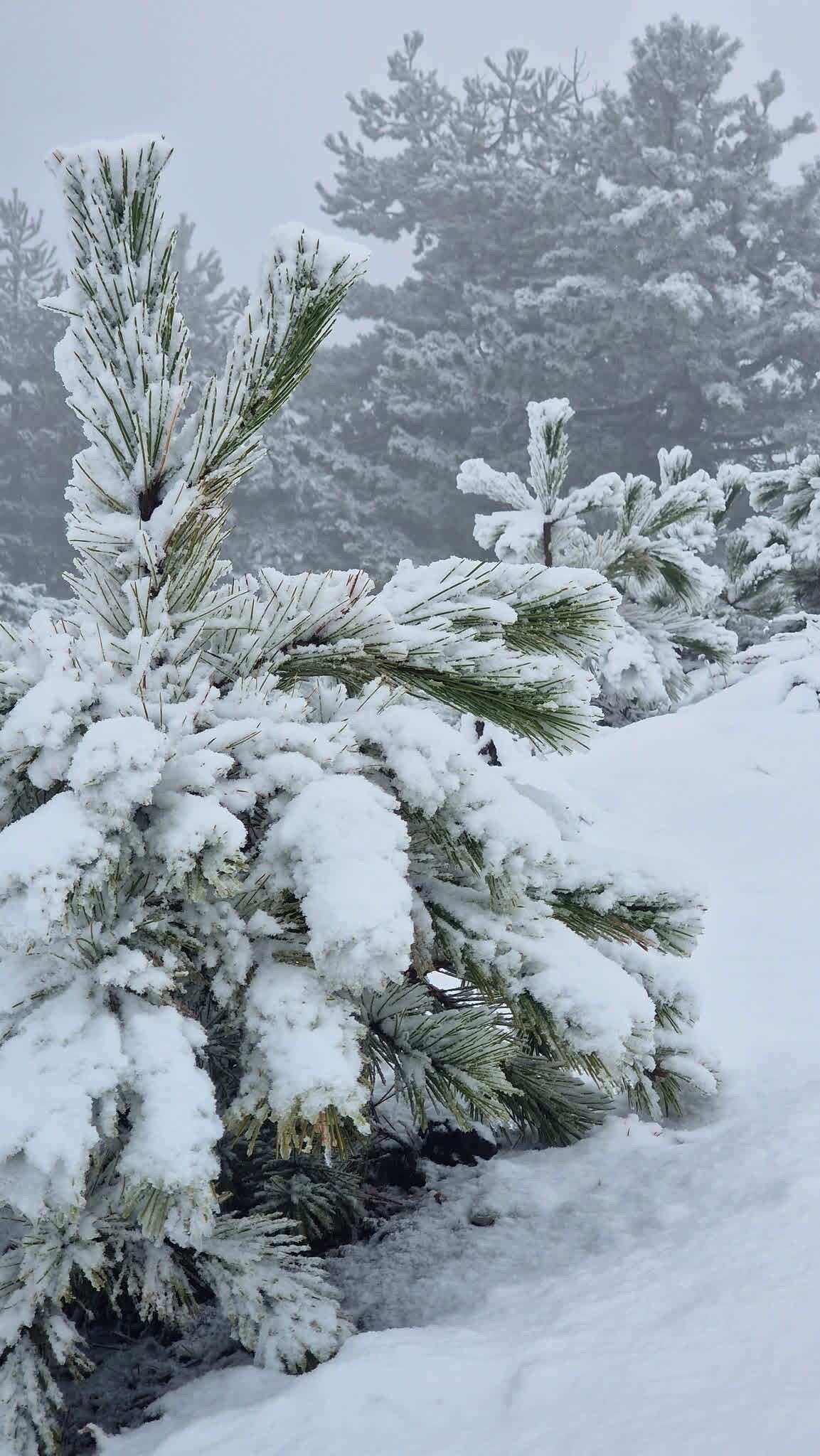 Muğla’da Mevsimin İlk Karı Göktepe Dağı’na Yağdı 1