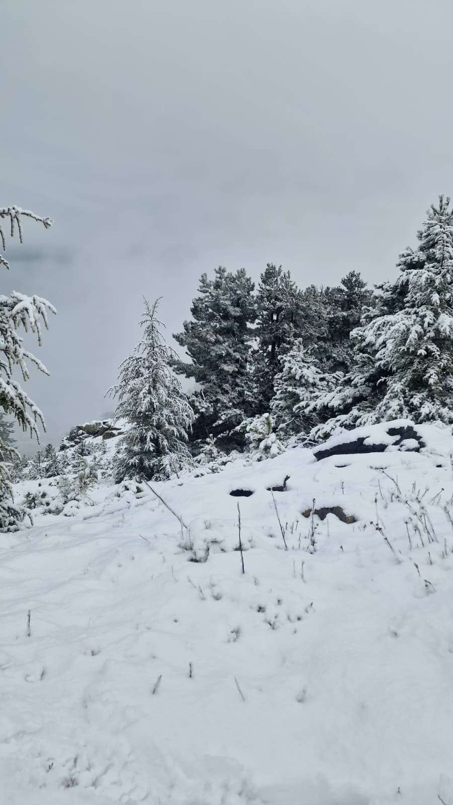 Muğla’da Mevsimin İlk Karı Göktepe Dağı’na Yağdı 2