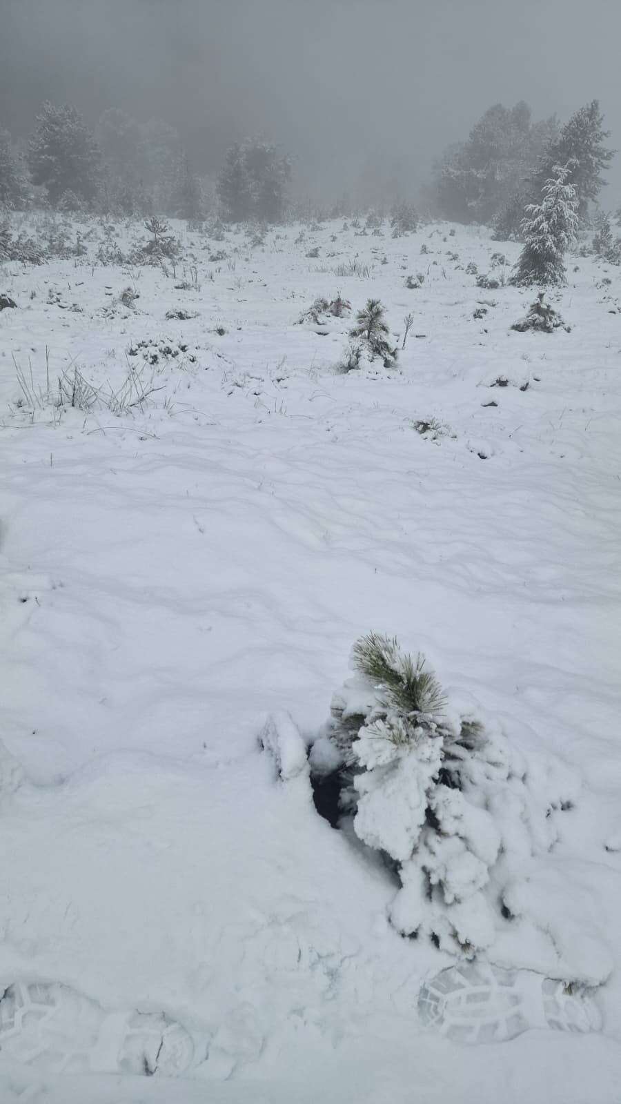 Muğla’da Mevsimin İlk Karı Göktepe Dağı’na Yağdı 3