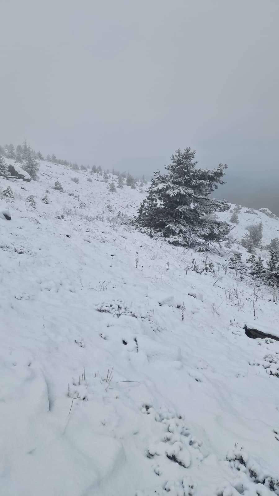 Muğla’da Mevsimin İlk Karı Göktepe Dağı’na Yağdı 5