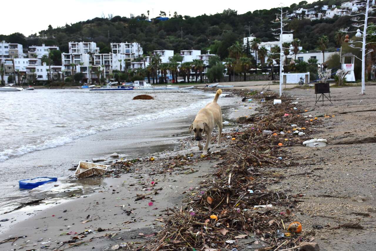 Bodrum'da Yağmur Suyuyla Denize Sürüklenen Atıklar Kıyıya Vurdu 5