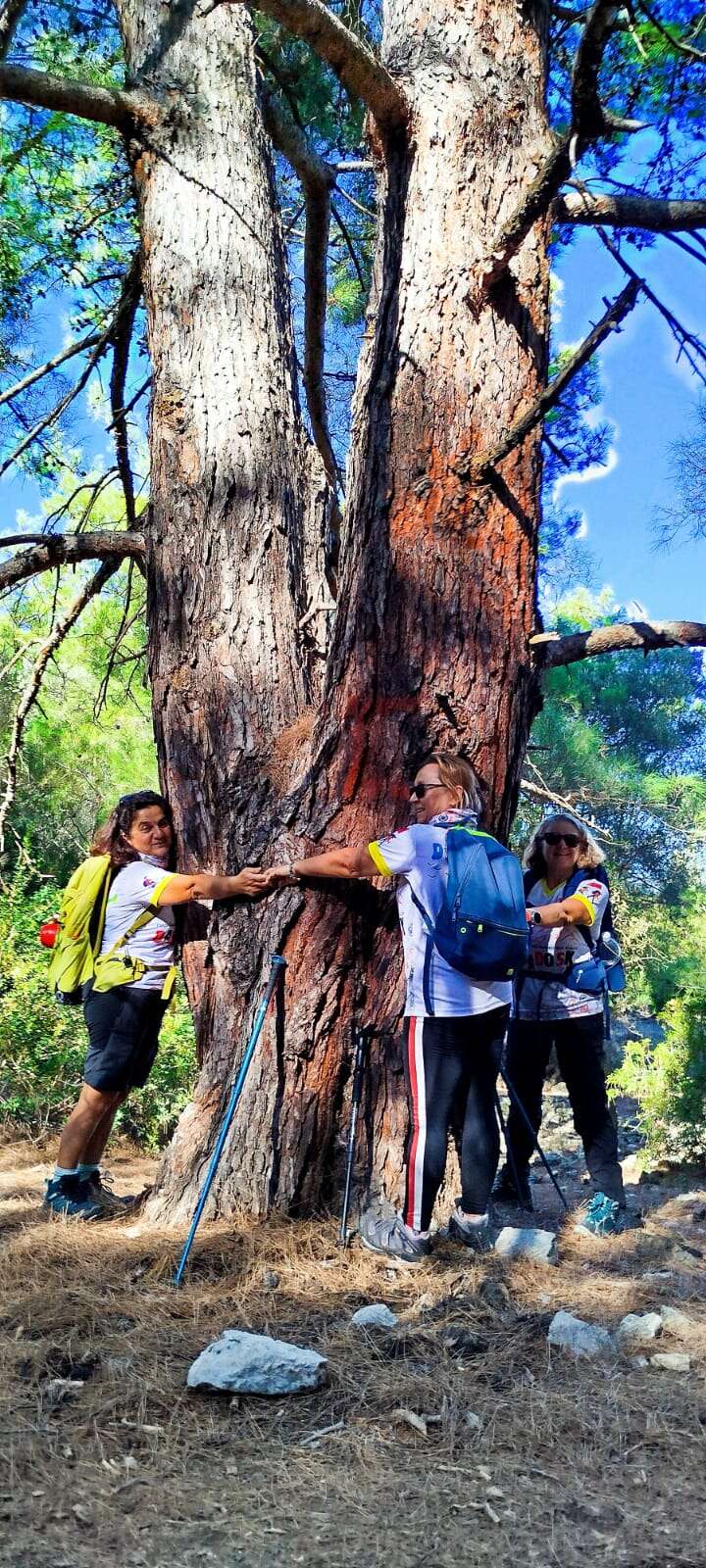 Datça’da Kadına Yönelik Şiddete Karşı Farkındalık Yürüyüşü 3