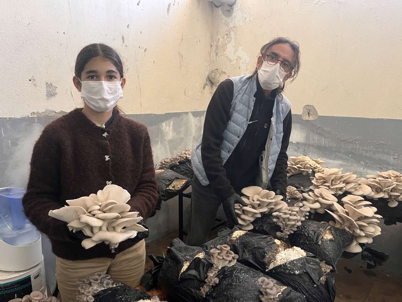 Muğla’da Öğrencilerden Mantar Projesi: Hem Öğrendiler Hem Kazandırdılar 1