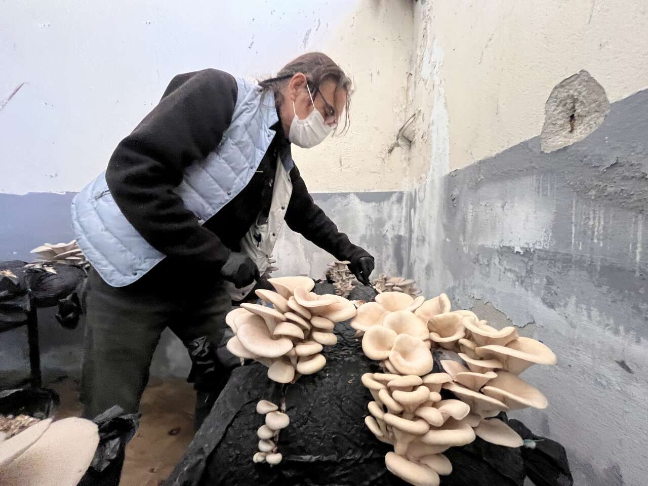 Muğla’da Öğrencilerden Mantar Projesi: Hem Öğrendiler Hem Kazandırdılar 5