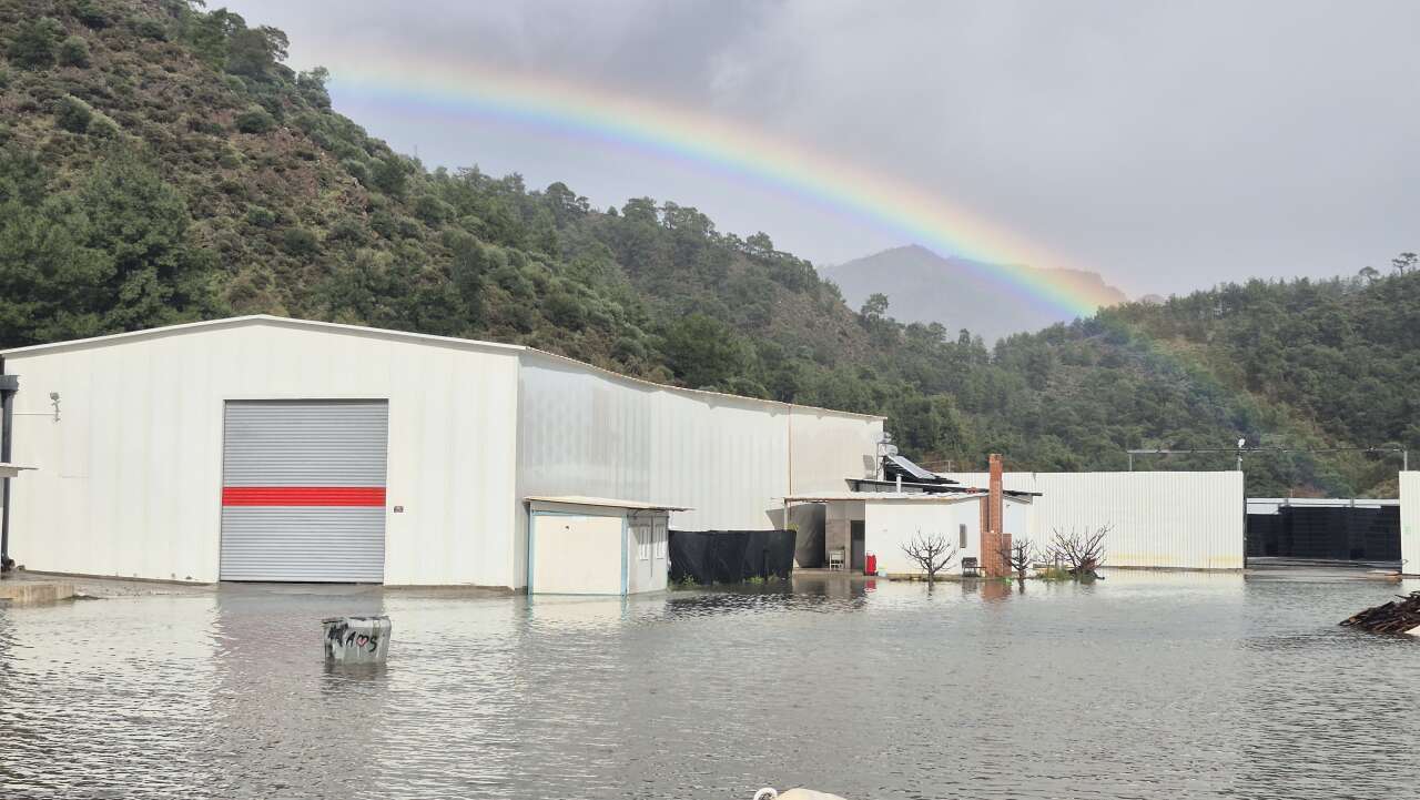 Ortaca’da Yağış Sonrası Su Baskınları: Mahalleler Sular Altında 7