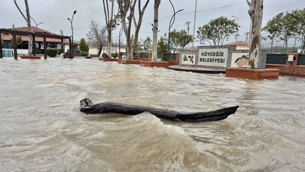 Muğla’da Lodosun Etkisi: Köyceğiz Gölü Cadde ve Sokakları Suya Gömüldü 1