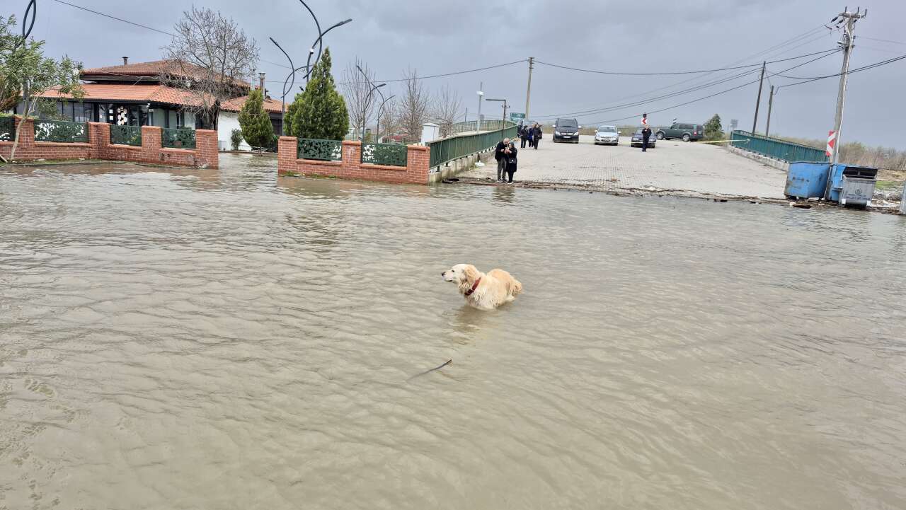 Muğla’da Lodosun Etkisi: Köyceğiz Gölü Cadde ve Sokakları Suya Gömüldü 6