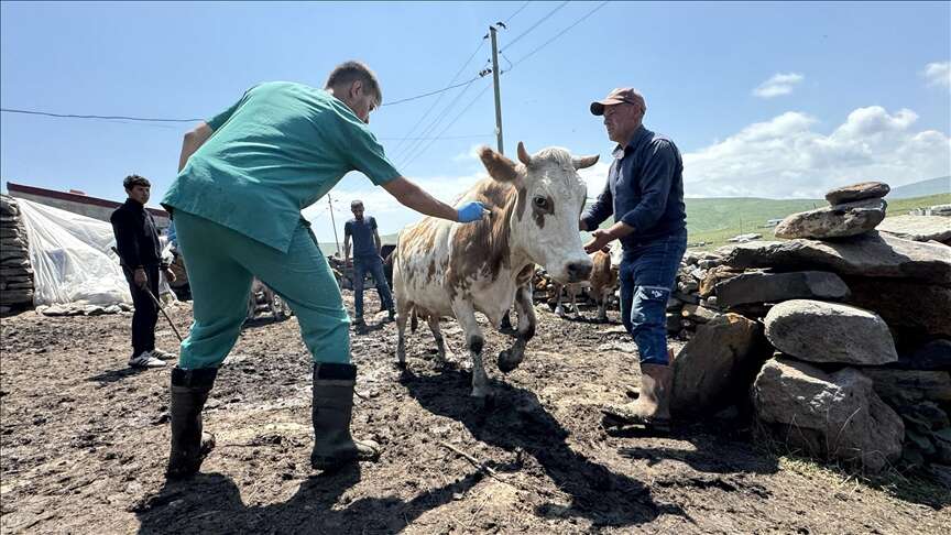 Veteriner Hekim Hurşit Öztürk’ten Şap Hastalığı Uyarısı 1